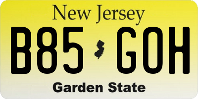 NJ license plate B85GOH