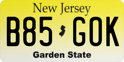 NJ license plate B85GOK