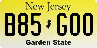 NJ license plate B85GOO