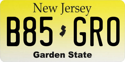 NJ license plate B85GRO