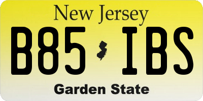 NJ license plate B85IBS