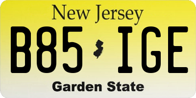 NJ license plate B85IGE