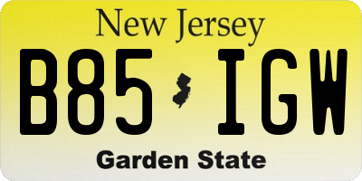 NJ license plate B85IGW