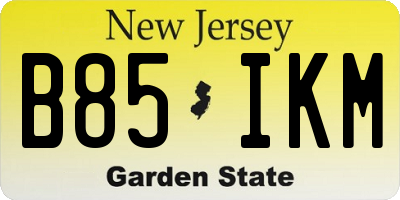 NJ license plate B85IKM