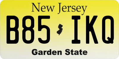 NJ license plate B85IKQ