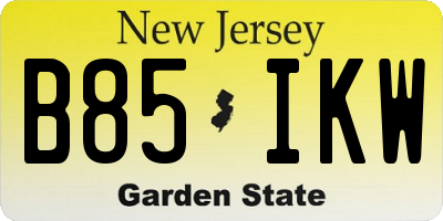 NJ license plate B85IKW