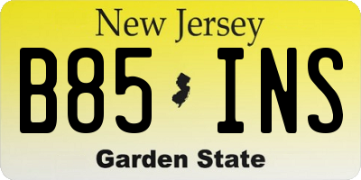 NJ license plate B85INS