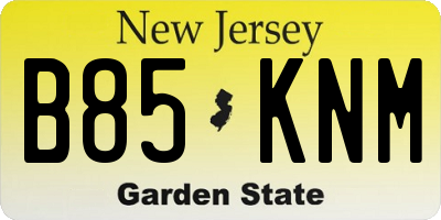 NJ license plate B85KNM