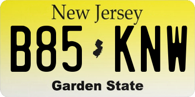 NJ license plate B85KNW