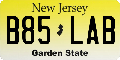 NJ license plate B85LAB