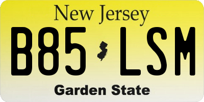 NJ license plate B85LSM