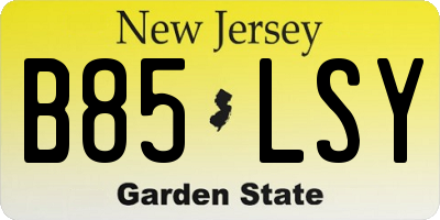 NJ license plate B85LSY