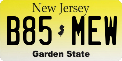 NJ license plate B85MEW