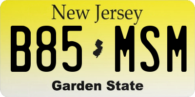 NJ license plate B85MSM