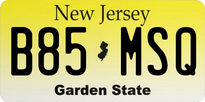 NJ license plate B85MSQ