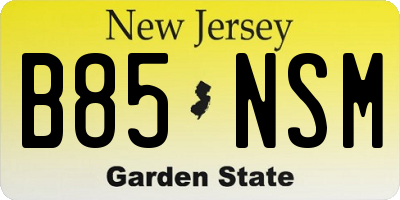 NJ license plate B85NSM