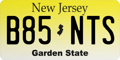 NJ license plate B85NTS