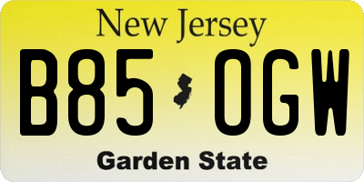NJ license plate B85OGW