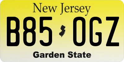NJ license plate B85OGZ