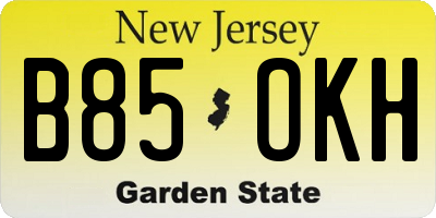 NJ license plate B85OKH