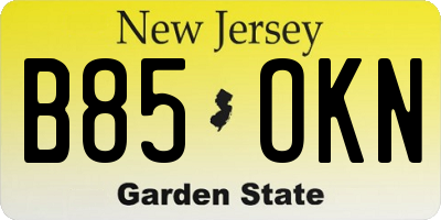 NJ license plate B85OKN