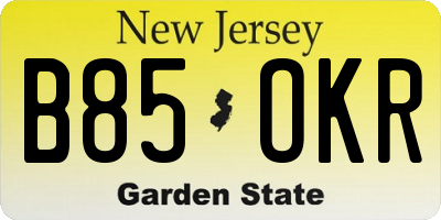 NJ license plate B85OKR