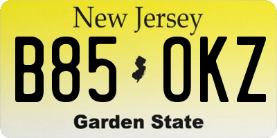 NJ license plate B85OKZ