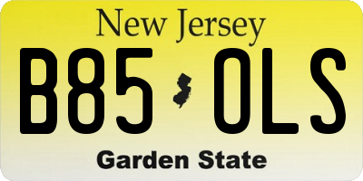 NJ license plate B85OLS