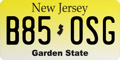 NJ license plate B85OSG