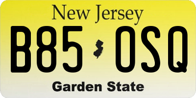 NJ license plate B85OSQ
