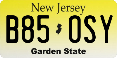 NJ license plate B85OSY