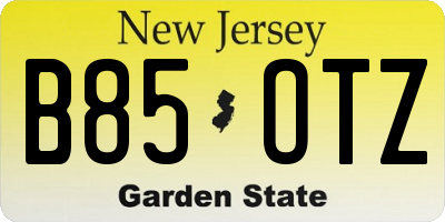 NJ license plate B85OTZ