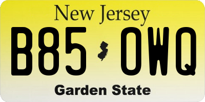 NJ license plate B85OWQ