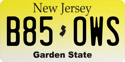 NJ license plate B85OWS
