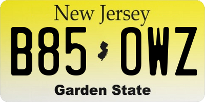 NJ license plate B85OWZ