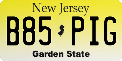 NJ license plate B85PIG