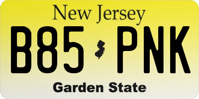 NJ license plate B85PNK