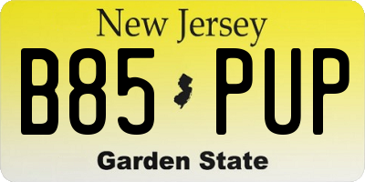 NJ license plate B85PUP