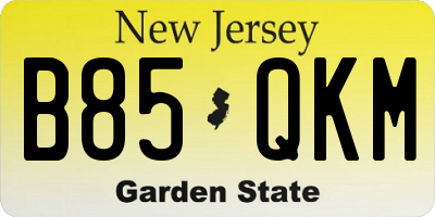 NJ license plate B85QKM