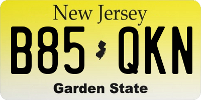NJ license plate B85QKN