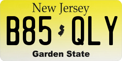 NJ license plate B85QLY