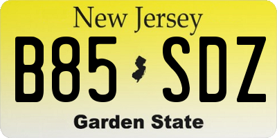 NJ license plate B85SDZ