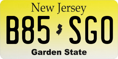 NJ license plate B85SGO