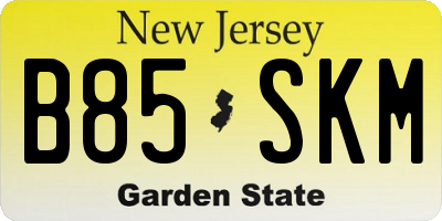 NJ license plate B85SKM