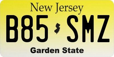 NJ license plate B85SMZ