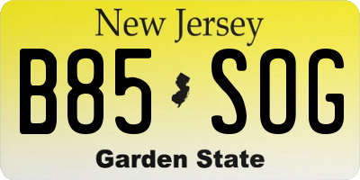 NJ license plate B85SOG