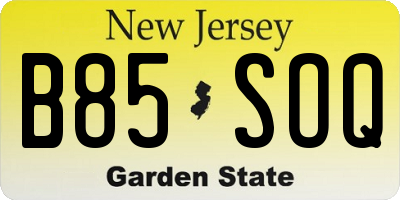 NJ license plate B85SOQ