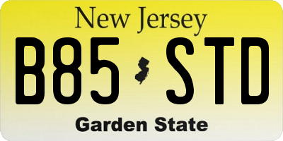 NJ license plate B85STD