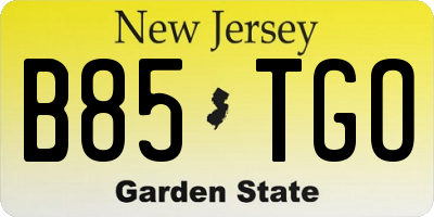 NJ license plate B85TGO
