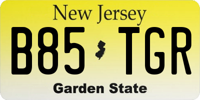 NJ license plate B85TGR
